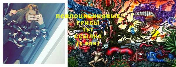 дурь Пестово