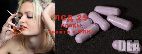 прущие грибы Баксан