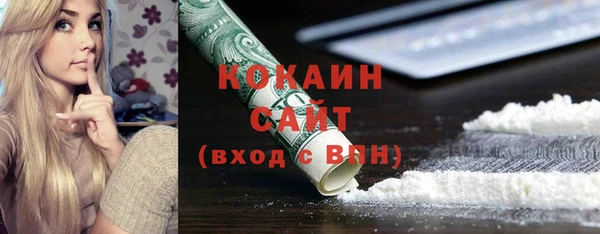 прущие грибы Баксан